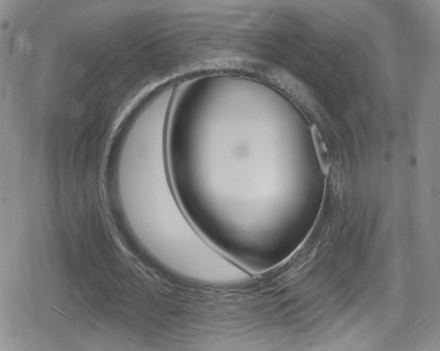 X0000080770676200612150959
