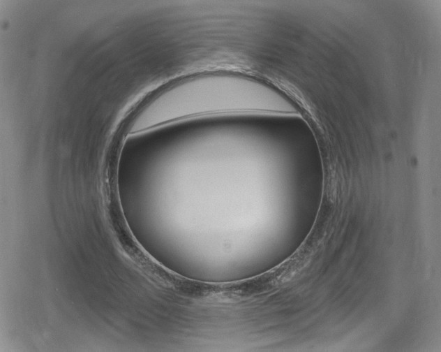 X0000080770680200612150959