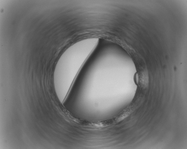 X0000080770715200612150959