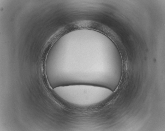 X0000080770733200612150958