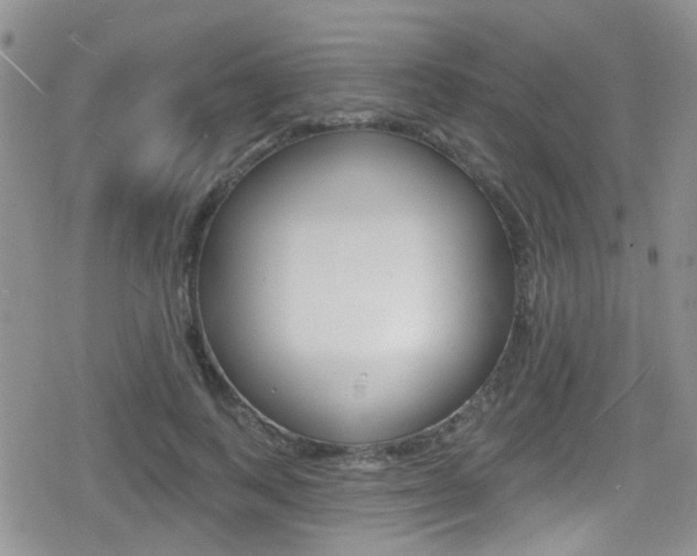 X0000080770743200612150958