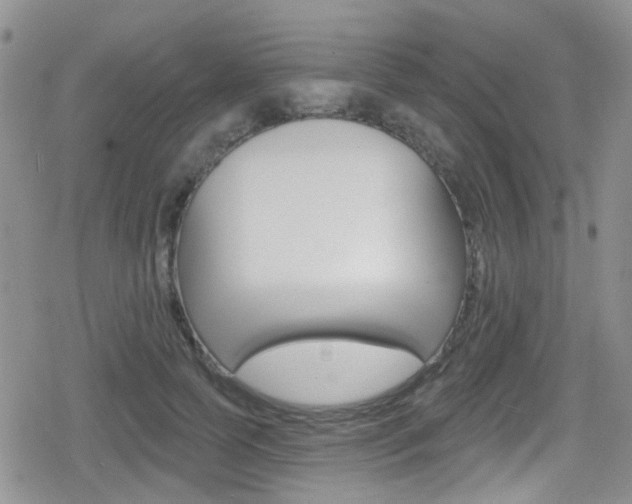 X0000080770745200612150958