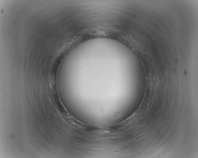 X0000080770747200612150958