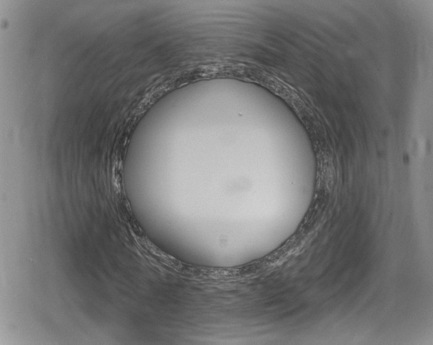X0000080770770200612150958