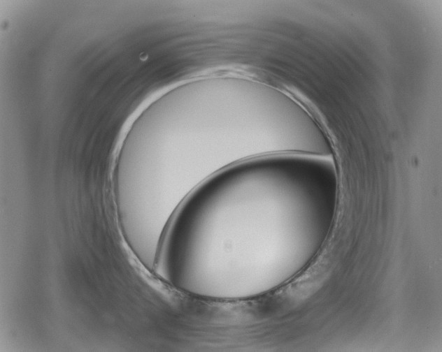 X0000080770816200612150957