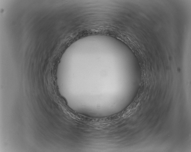X0000080770817200612150956