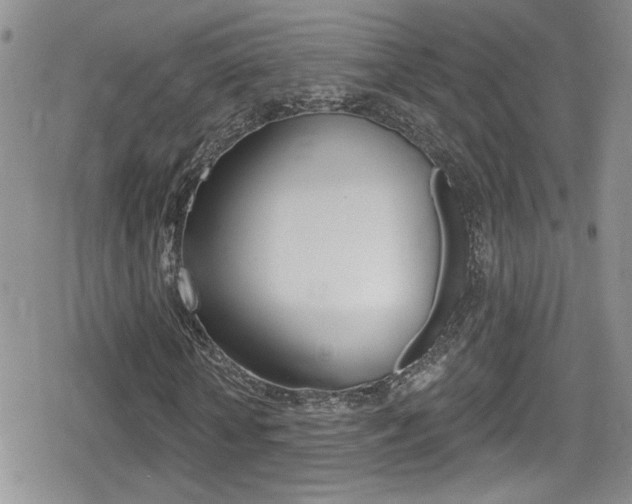 X0000080770818200612150956