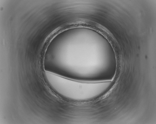 X0000080770826200612150957