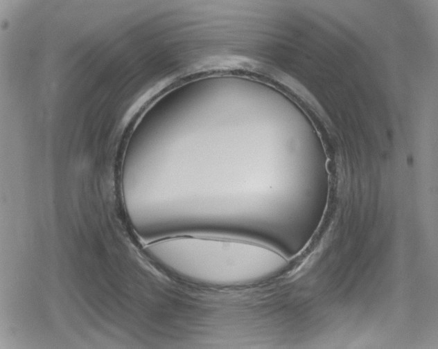 X0000080770834200612150957