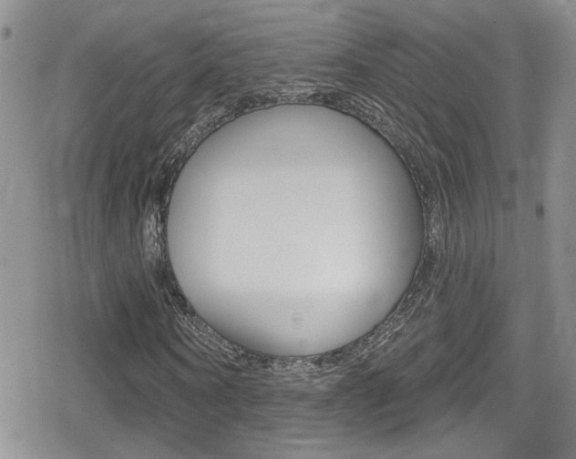 X0000080770866200612150956