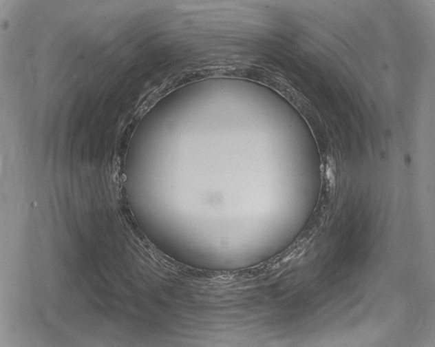 X0000080770867200612150956