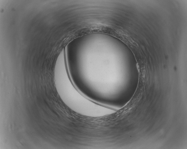 X0000080770916200612150955