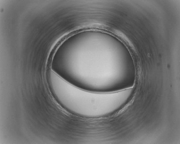 X0000080770924200612150955