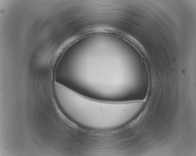 X0000080770938200612150955