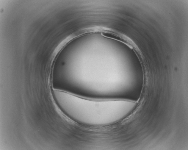 X0000080770946200612150955