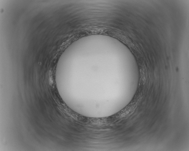 X0000080770962200612150955