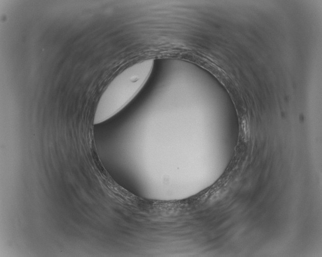 X0000080770963200612150955