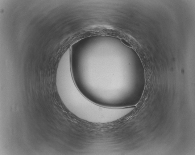 X0000080770965200612150955
