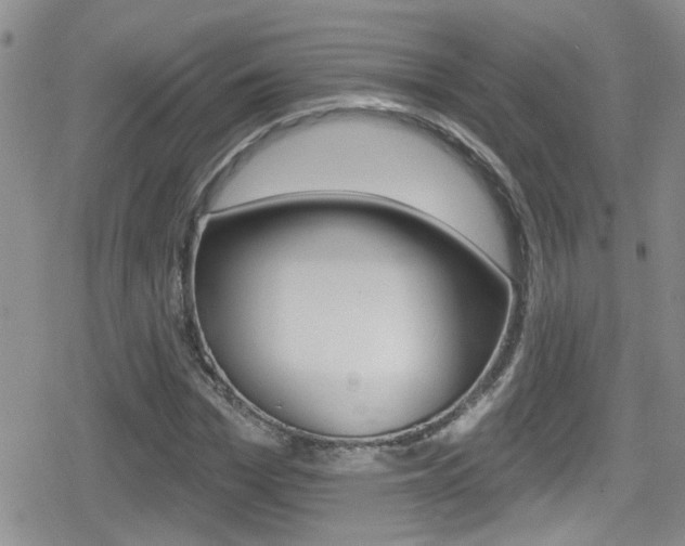 X0000080770969200612150955