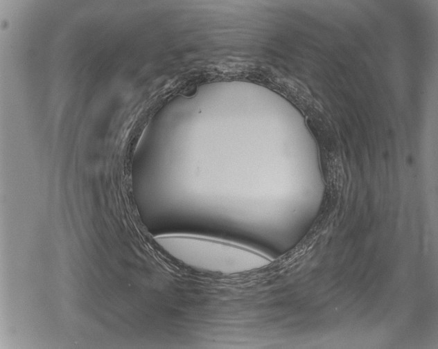 X0000080771009200612150953