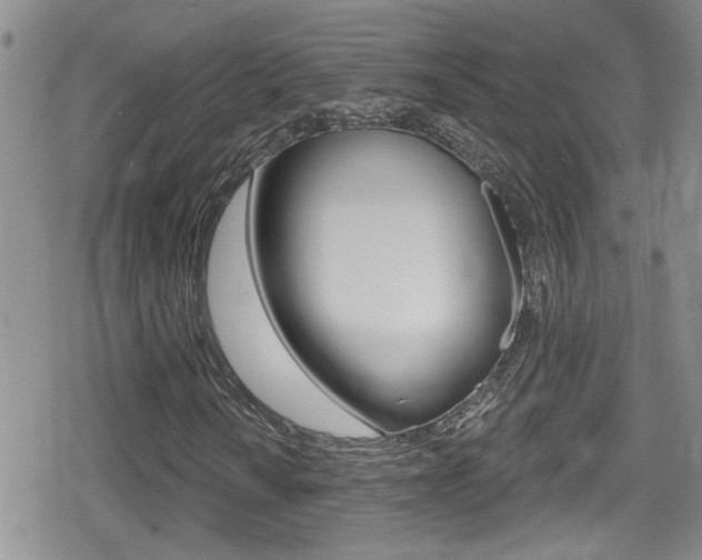 X0000080771010200612150953
