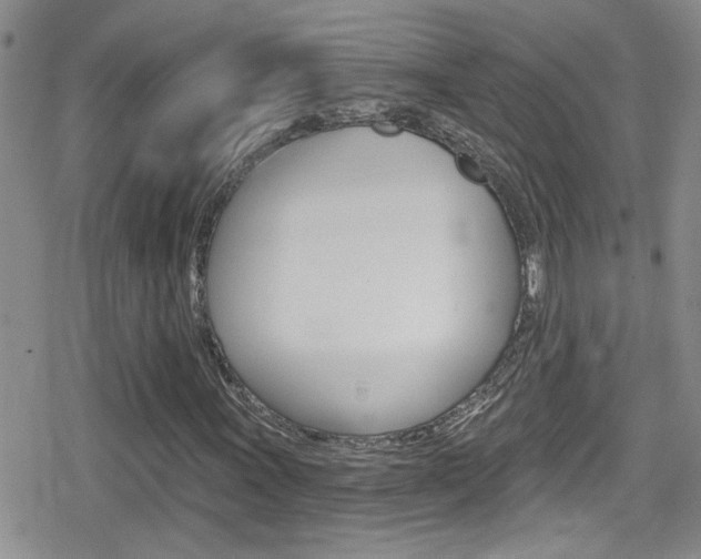 X0000080771011200612150953