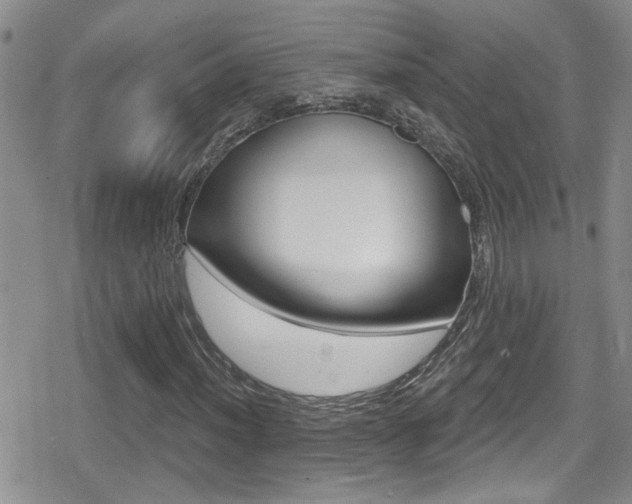 X0000080771012200612150953