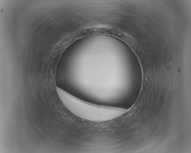 X0000080771014200612150953
