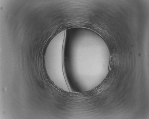 X0000080771057200612150953