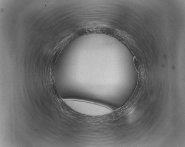 X0000080771060200612150953