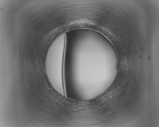 X0000080771062200612150953