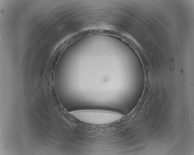 X0000080771064200612150953
