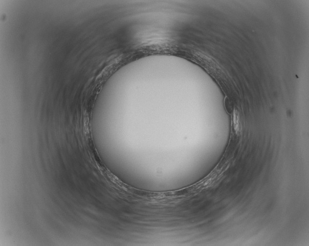 X0000080771107200612150952