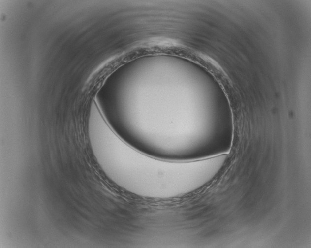 X0000080771112200612150952