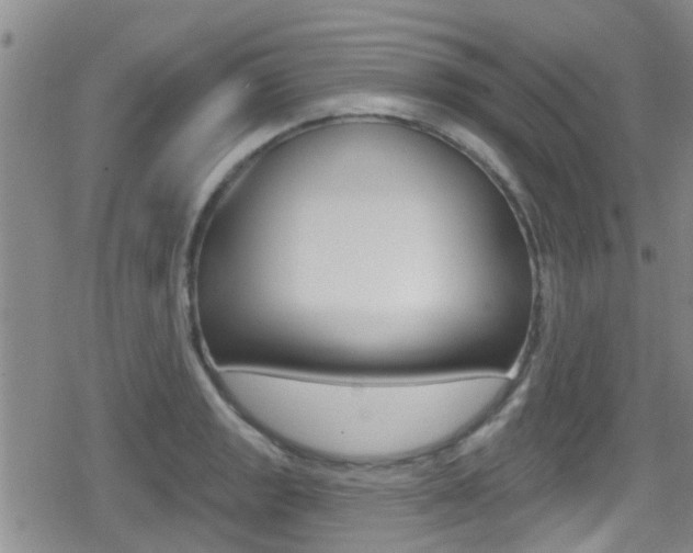 X0000080771133200612150952