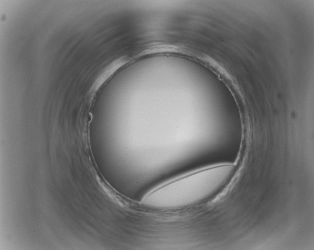 X0000080771137200612150952