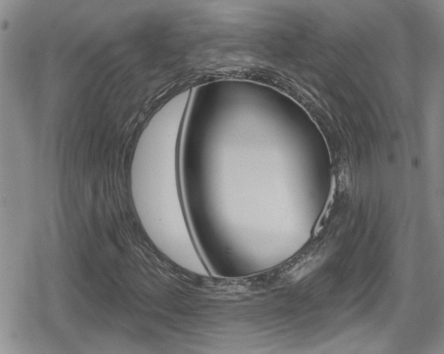 X0000080771156200612150952