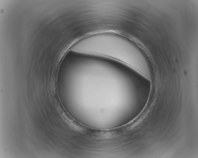 X0000080771177200612150951