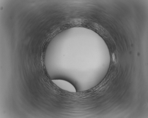 X0000080771203200612150950