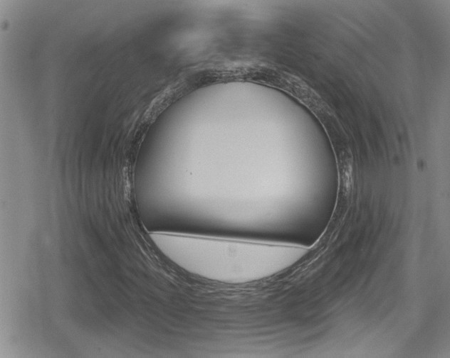 X0000080771204200612150950