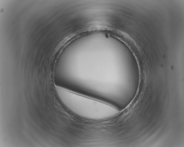 X0000080771217200612150950