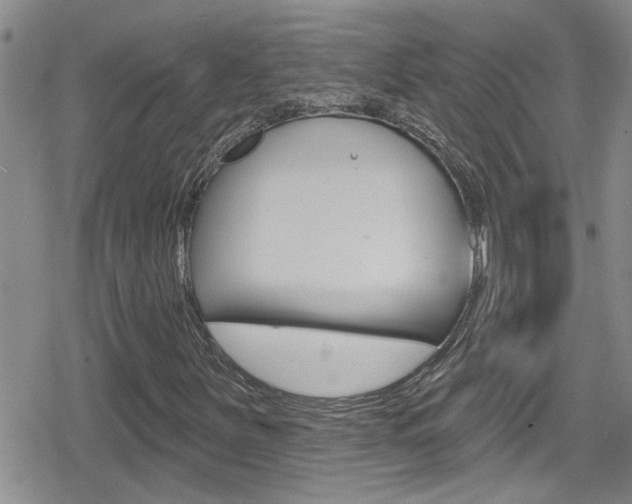X0000080771251200612150950