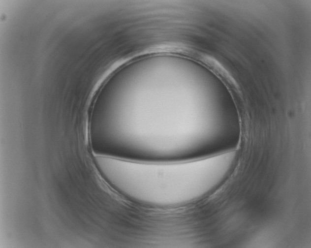 X0000080771276200612150950