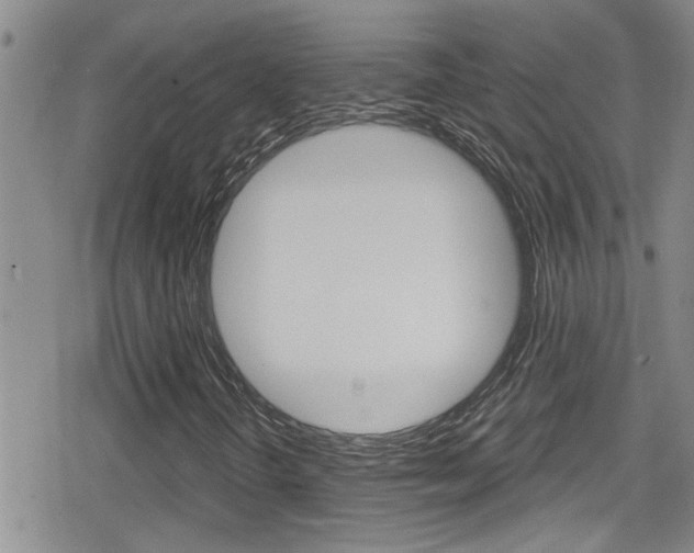 X0000080771298200612150949