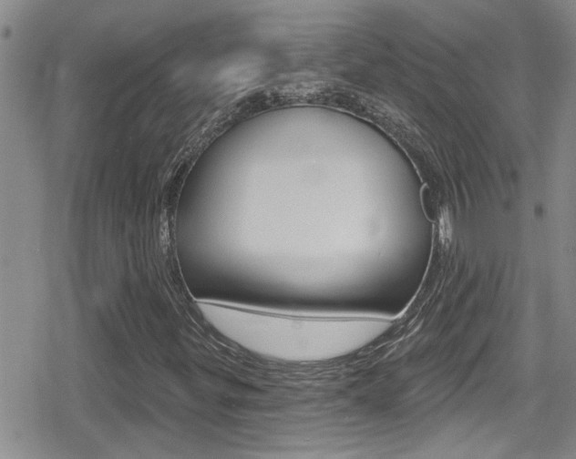 X0000080771299200612150949