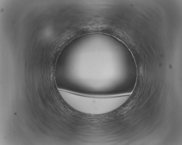 X0000080771300200612150949