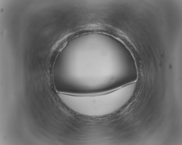 X0000080771304200612150949