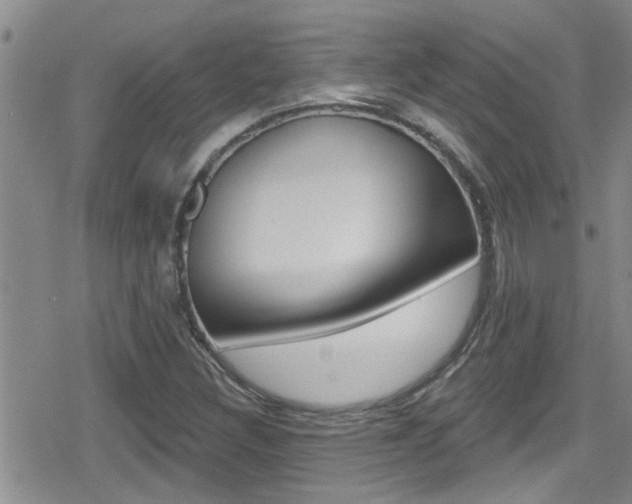 X0000080771308200612150949