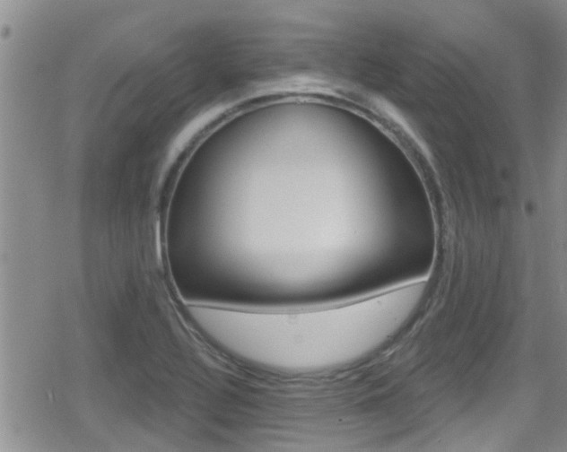 X0000080771320200612150949