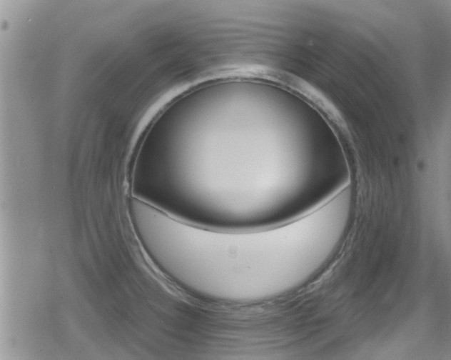 X0000080771332200612150949